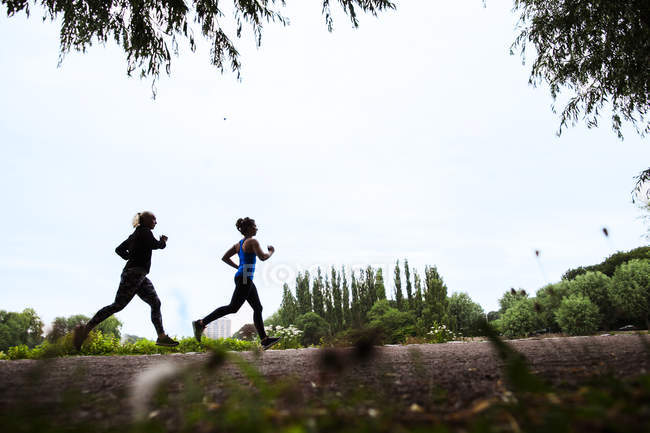 Junge Frauen joggen im Park — Stockfoto