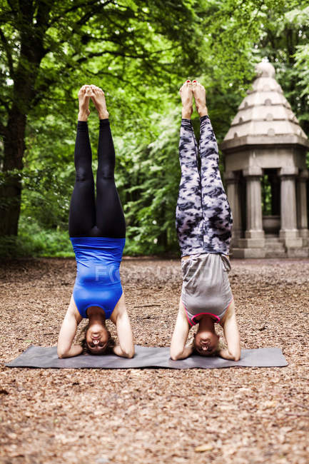 Giovani donne che praticano yoga — Foto stock