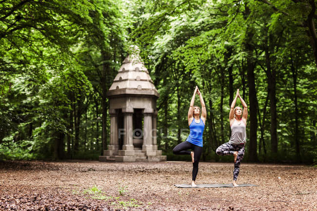 Mulheres jovens praticando ioga — Fotografia de Stock