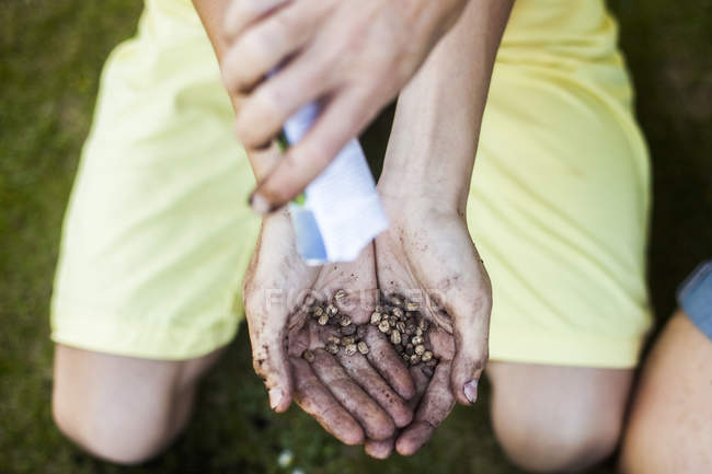 Mother pouring seeds into son hands — Stock Photo