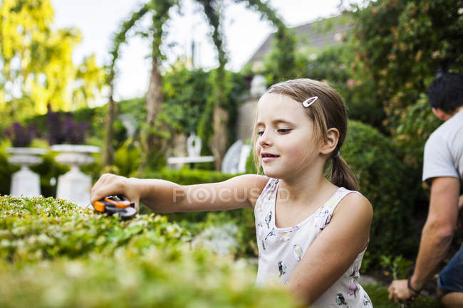 Chica planta de corte con jardinería padre - foto de stock