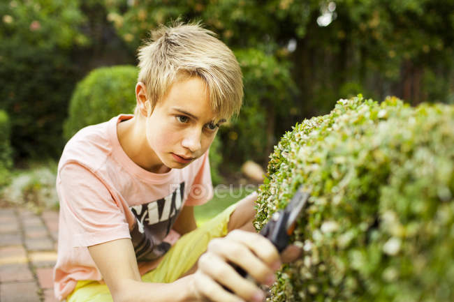 Teenage boy cutting plants — Stock Photo