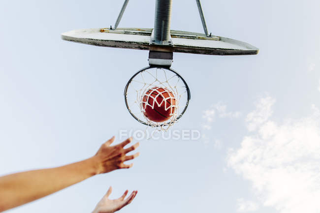 Cropped hands reaching basketball — Stock Photo