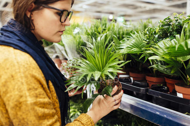 Junge Frau kauft Pflanze — Stockfoto