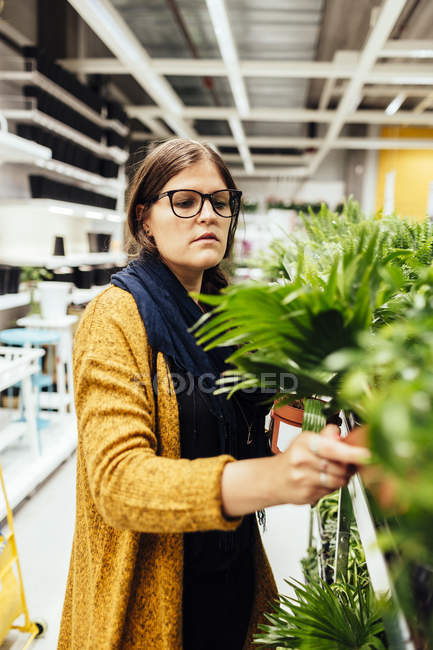 Giovane donna acquistare pianta — Foto stock