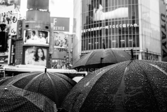 Paraguas bajo la lluvia en el cruce de Shibuya - foto de stock