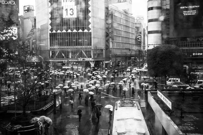 Personas con sombrillas bajo la lluvia - foto de stock