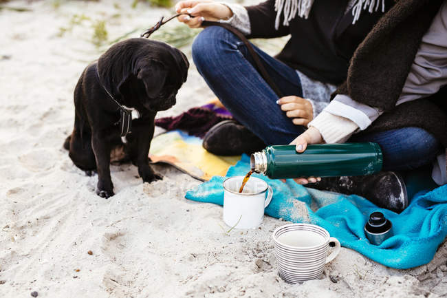 Dog looking at woman pouring coffee — Stock Photo