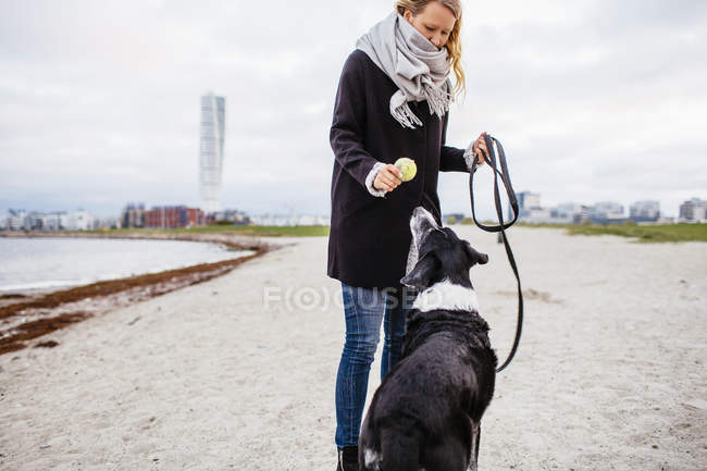 Mujer con perro en la playa - foto de stock