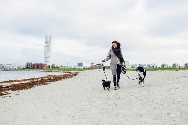 Femme marchant avec des chiens — Photo de stock