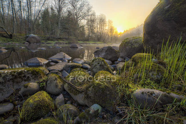 Stream flowing by rocks on field — Stock Photo