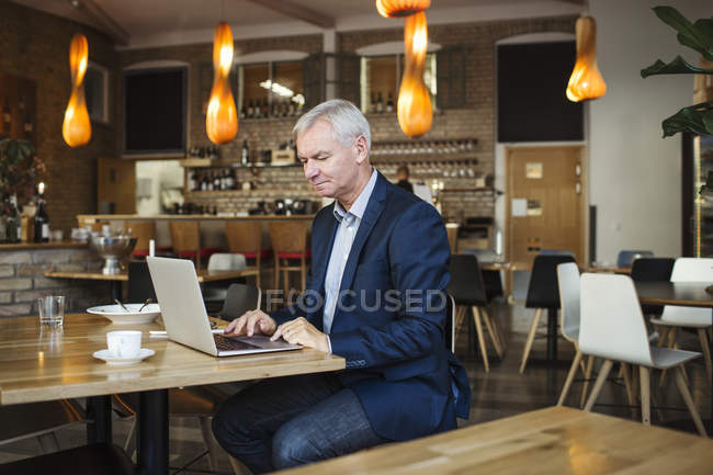 Концентрированный бизнесмен с помощью ноутбука — стоковое фото
