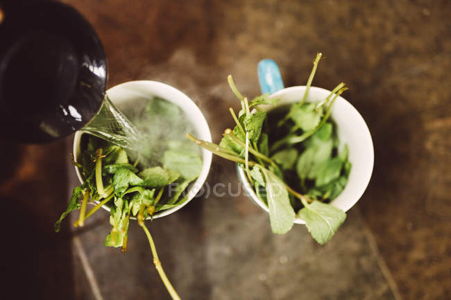 Agua vertida en tazas con hojas - foto de stock