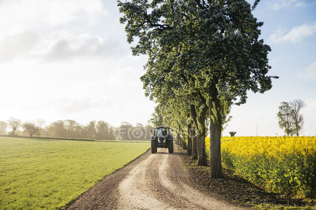 Tractor en camino de tierra - foto de stock