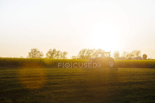 Tractor en el campo durante la puesta del sol - foto de stock