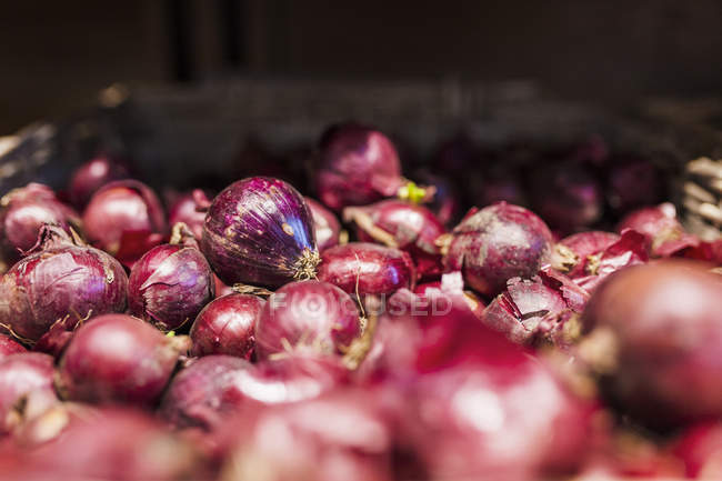 Onions for sale in supermarket — Stock Photo