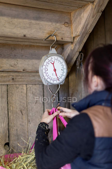 Woman weighing dry grass — Stock Photo