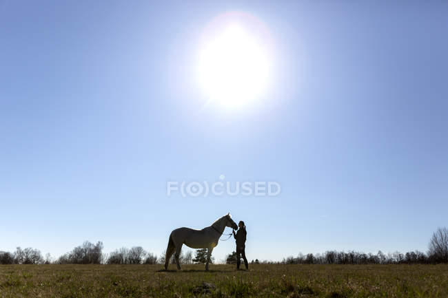 Женщина с лошадью на поле — стоковое фото