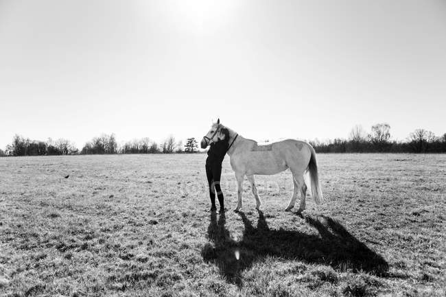 Женщина целует лошадь на поле — стоковое фото