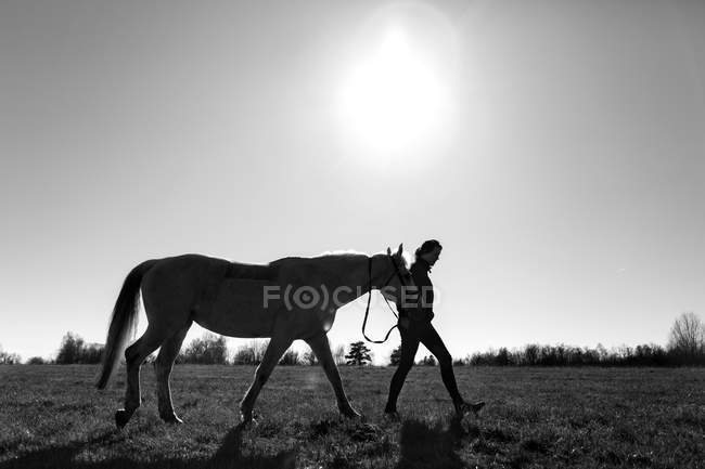 Женщина, идущая с лошадью по травяному полю — стоковое фото