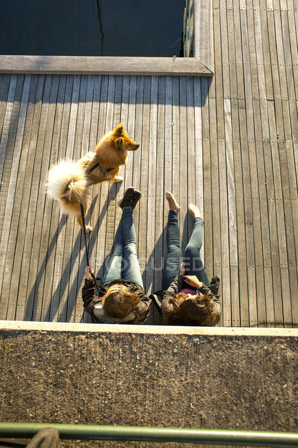 Ouple with dog relaxing on boardwalk — Stock Photo