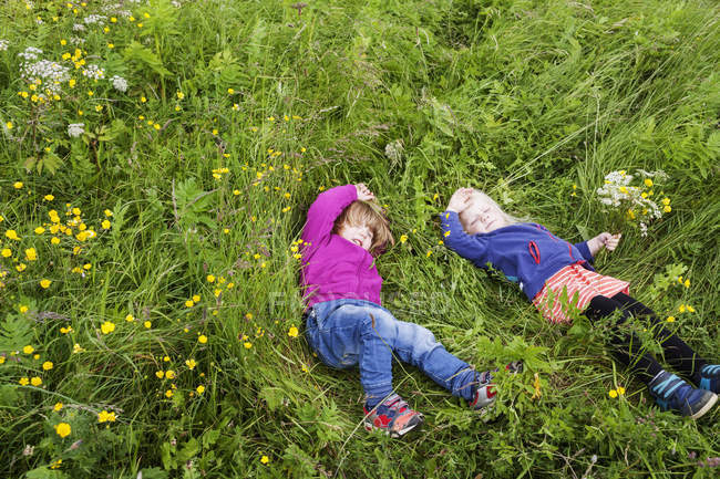 Chicas durmiendo en el campo de hierba - foto de stock