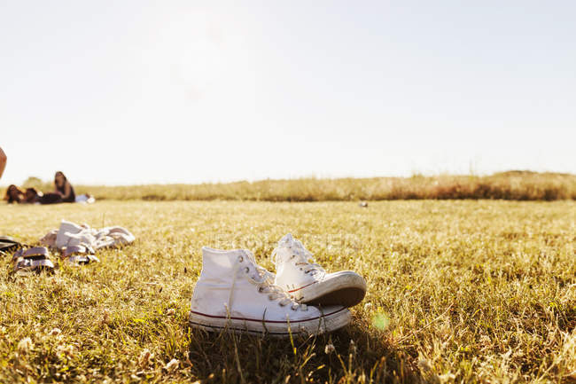 Zapatos de lona blanca en el campo cubierto de hierba - foto de stock