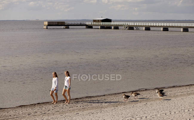 Young female friends walking — Stock Photo