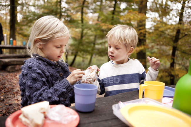 Brother and sister having breakfast at picnic — Stock Photo