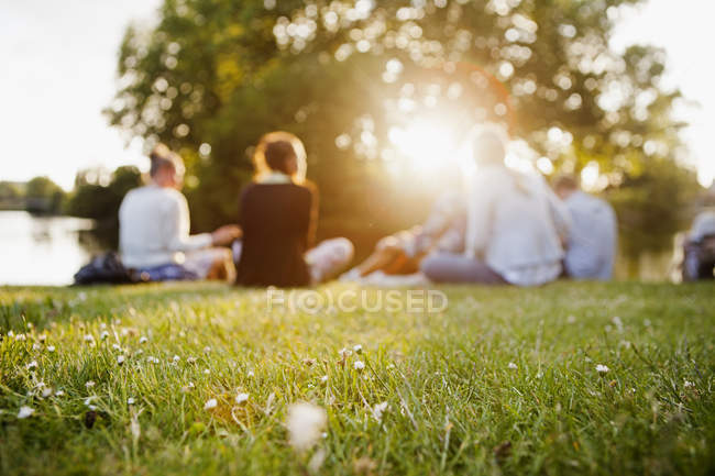 Grupo de amigos sentados en la hierba - foto de stock