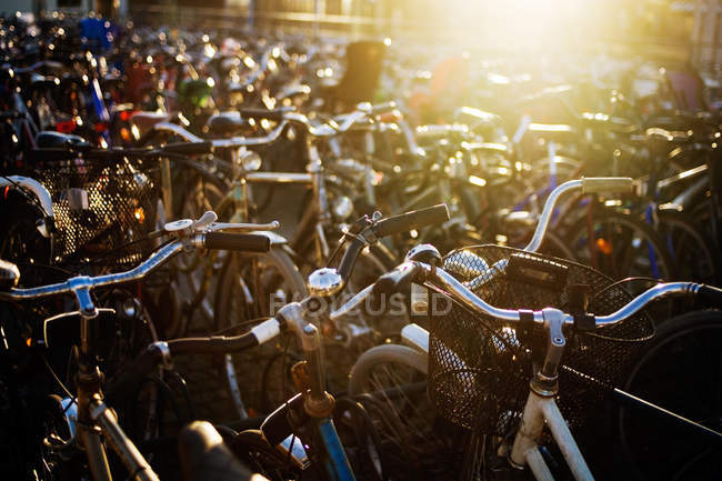 Bicicletas no estacionamento no dia ensolarado — Fotografia de Stock