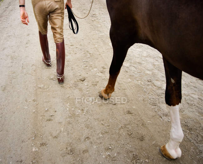 Personne marchant avec cheval — Photo de stock