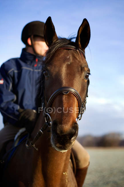 Homem sentado a cavalo — Fotografia de Stock
