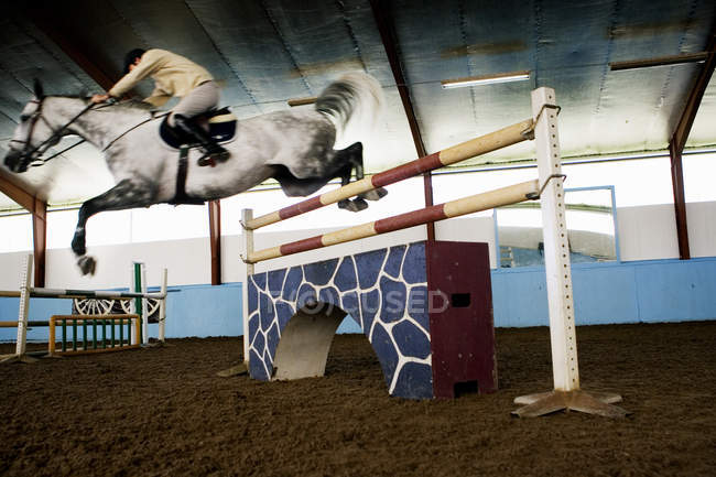 Jockey practicing with horse in stable — Stock Photo