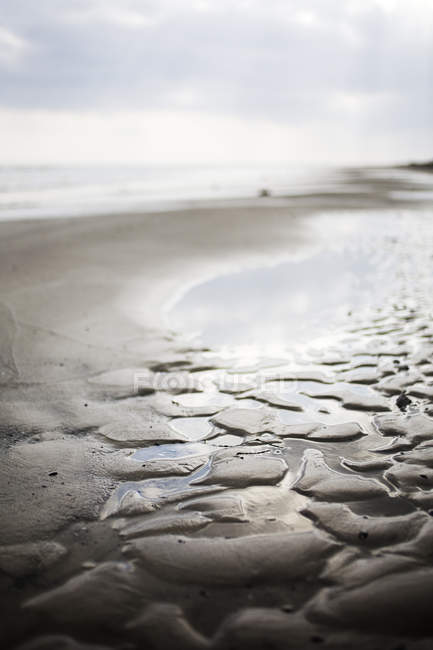 Мокрий берег на пляжі — стокове фото