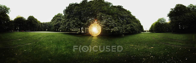 La lumière du soleil coule à travers les arbres — Photo de stock