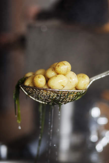 Patatas en colador en la cocina del restaurante - foto de stock