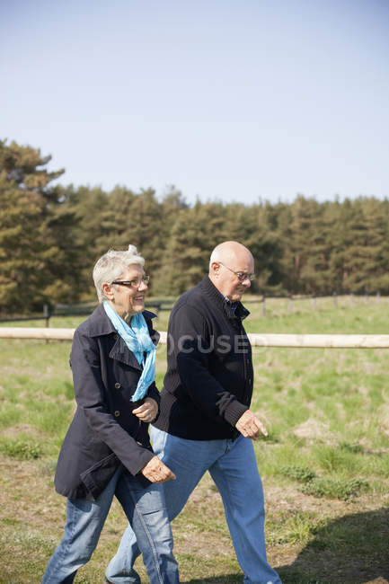 Seniorenpaar geht auf Feld — Stockfoto