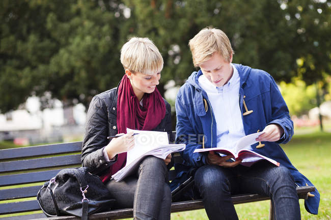 Young friends studying — Stock Photo