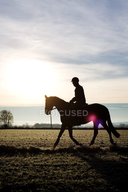 Silhouette fantino seduto su cavallo — Foto stock