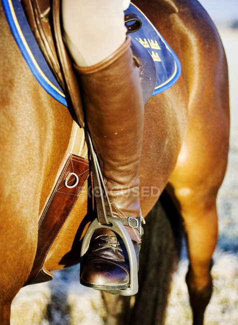 Person auf Pferd sitzend — Stockfoto