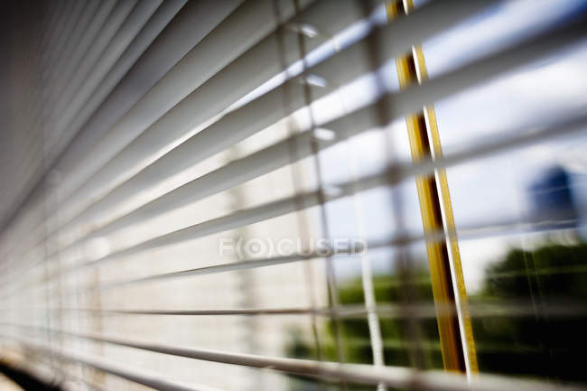 Close-up of window blinds — Stock Photo