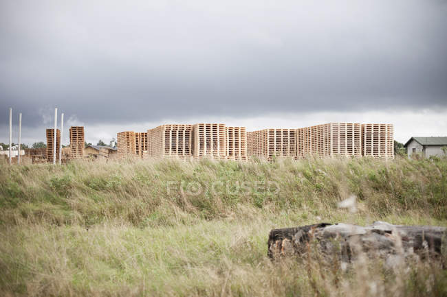 Pilhas de caixas no campo gramado — Fotografia de Stock