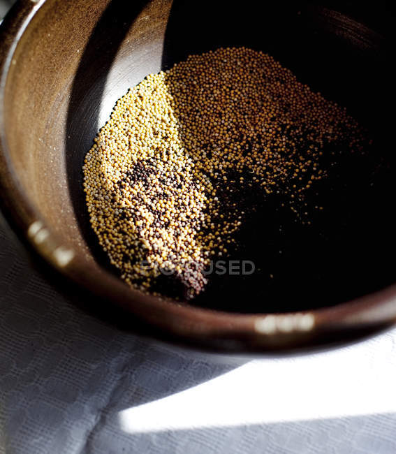 Sementes de mostarda em recipiente — Fotografia de Stock