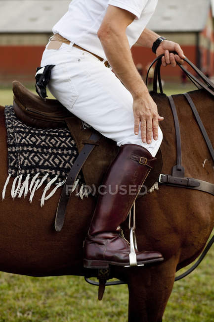 Jockey equitação cavalo em campo — Fotografia de Stock