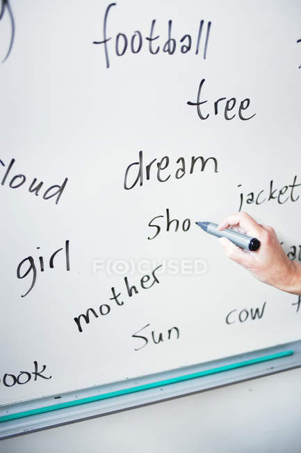 Mano dell'ortografia di scrittura dell'insegnante — Foto stock