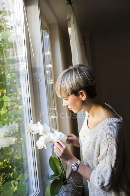 Mujer mirando flores blancas de la orquídea - foto de stock