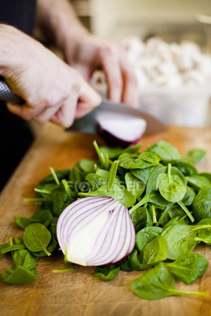Chef cutting onion — Stock Photo