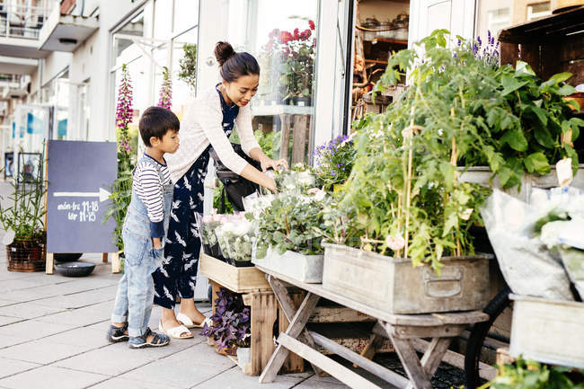 Madre con hijo eligiendo plantas - foto de stock