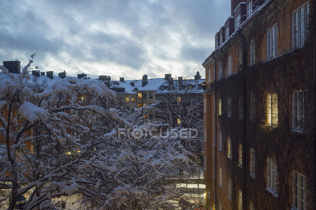 Casas y árboles cubiertos de nieve en invierno - foto de stock
